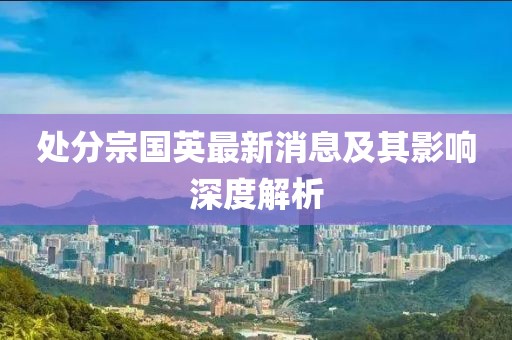 處分宗國英最新消息及其影響深度解析