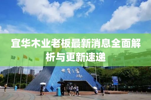 宜華木業(yè)老板最新消息全面解析與更新速遞