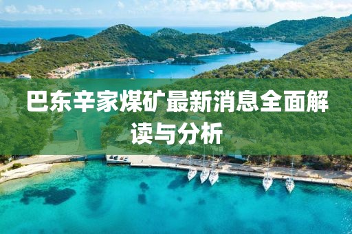 巴東辛家煤礦最新消息全面解讀與分析