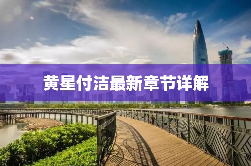 黃星付潔最新章節詳解