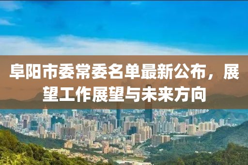 阜陽(yáng)市委常委名單最新公布，展望工作展望與未來(lái)方向