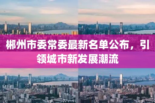 郴州市委常委最新名單公布，引領(lǐng)城市新發(fā)展潮流