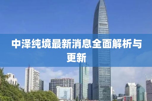 中澤純境最新消息全面解析與更新