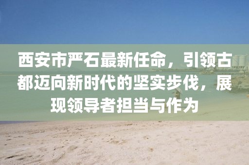 西安市嚴石最新任命，引領(lǐng)古都邁向新時(shí)代的堅實(shí)步伐，展現領(lǐng)導者擔當與作為