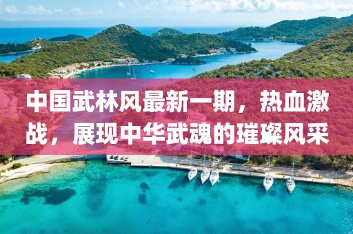 中國武林風(fēng)最新一期，熱血激戰，展現中華武魂的璀璨風(fēng)采