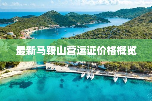 最新馬鞍山營(yíng)運證價(jià)格概覽
