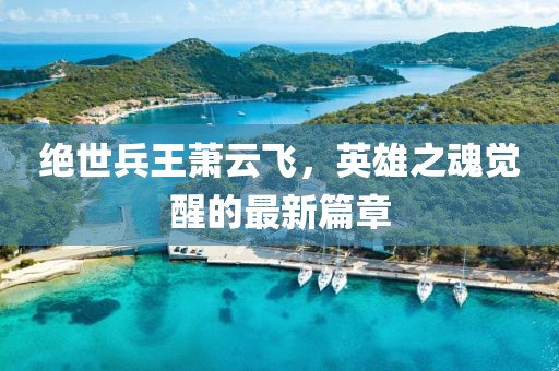 絕世兵王蕭云飛，英雄之魂覺(jué)醒的最新篇章