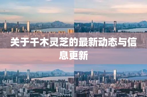 淺笑輕吟夢(mèng)一曲 第13頁(yè)