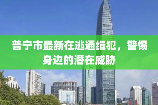 普寧市最新在逃通緝犯，警惕身邊的潛在威脅