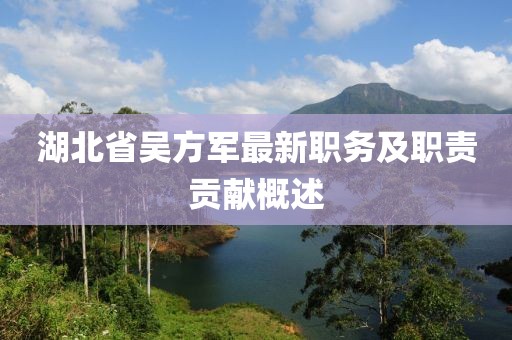 湖北省吳方軍最新職務(wù)及職責貢獻概述
