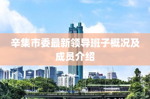 辛集市委最新領(lǐng)導班子概況及成員介紹