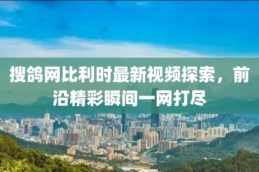 搜鴿網(wǎng)比利時(shí)最新視頻探索，前沿精彩瞬間一網(wǎng)打盡