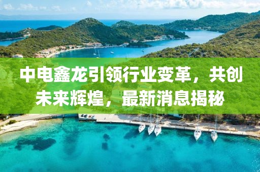 中電鑫龍引領(lǐng)行業(yè)變革，共創(chuàng  )未來(lái)輝煌，最新消息揭秘