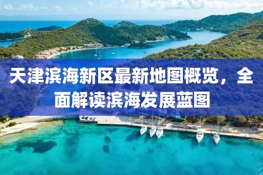 天津濱海新區最新地圖概覽，全面解讀濱海發(fā)展藍圖