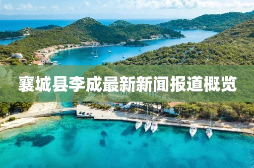襄城縣李成最新新聞報道概覽
