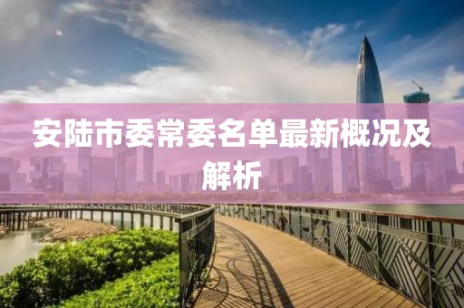 安陸市委常委名單最新概況及解析
