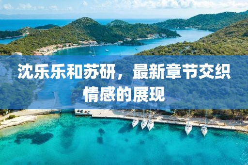 沈樂(lè )樂(lè )和蘇研，最新章節交織情感的展現