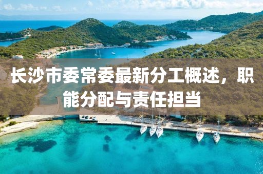 長(cháng)沙市委常委最新分工概述，職能分配與責任擔當