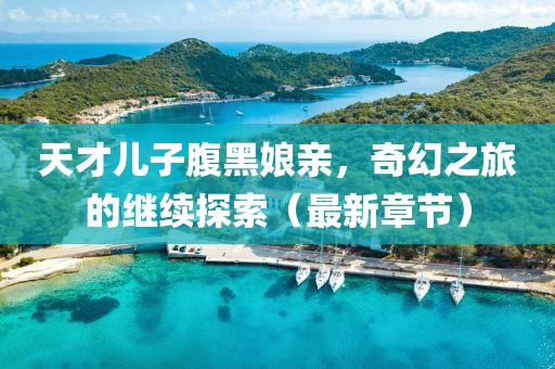 天才兒子腹黑娘親，奇幻之旅的繼續探索（最新章節）