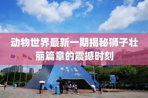 動(dòng)物世界最新一期揭秘獅子壯麗篇章的震撼時(shí)刻