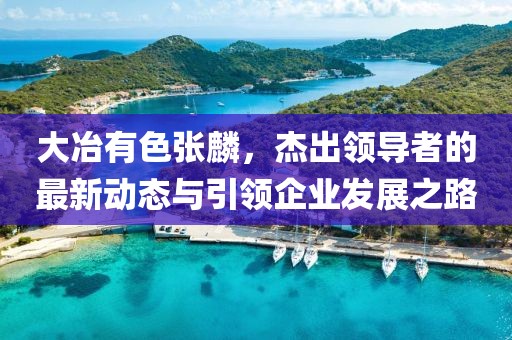 大冶有色張麟，杰出領(lǐng)導者的最新動(dòng)態(tài)與引領(lǐng)企業(yè)發(fā)展之路