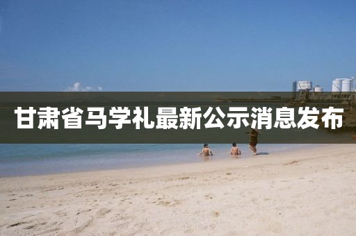 甘肅省馬學(xué)禮最新公示消息發(fā)布
