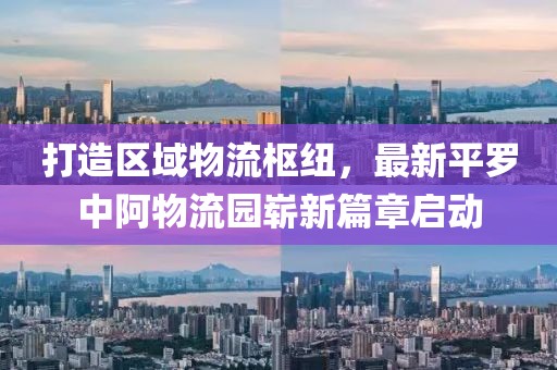 打造區域物流樞紐，最新平羅中阿物流園嶄新篇章啟動(dòng)