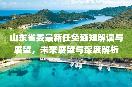 山東省委最新任免通知解讀與展望，未來(lái)展望與深度解析