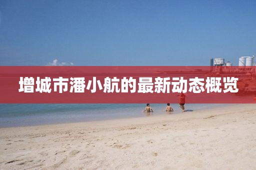 增城市潘小航的最新動(dòng)態(tài)概覽