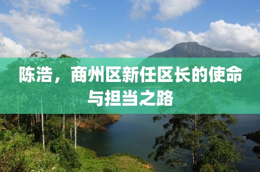 陳浩，商州區新任區長(cháng)的使命與擔當之路