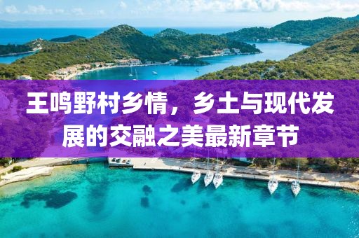 王鳴野村鄉情，鄉土與現代發(fā)展的交融之美最新章節