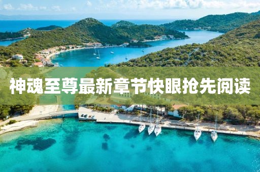 神魂至尊最新章節快眼搶先閱讀