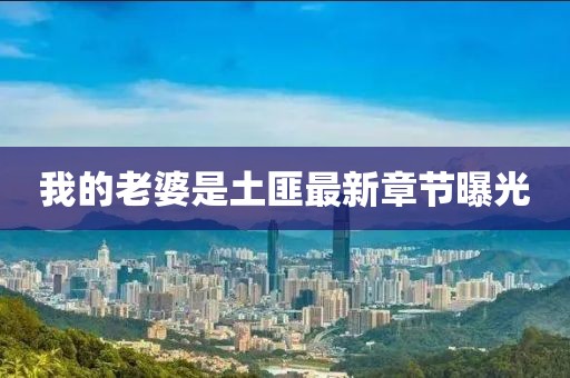 我的老婆是土匪最新章節曝光