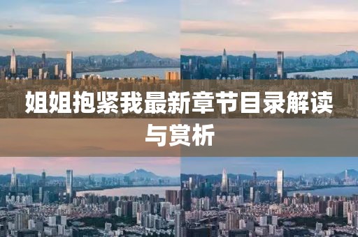 姐姐抱緊我最新章節目錄解讀與賞析