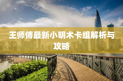 王師傅最新小明術(shù)卡組解析與攻略