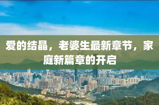 愛(ài)的結晶，老婆生最新章節，家庭新篇章的開(kāi)啟
