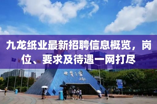 九龍紙業(yè)最新招聘信息概覽，崗位、要求及待遇一網(wǎng)打盡