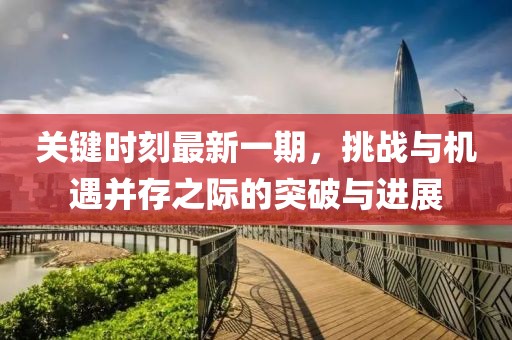 關(guān)鍵時(shí)刻最新一期，挑戰與機遇并存之際的突破與進(jìn)展
