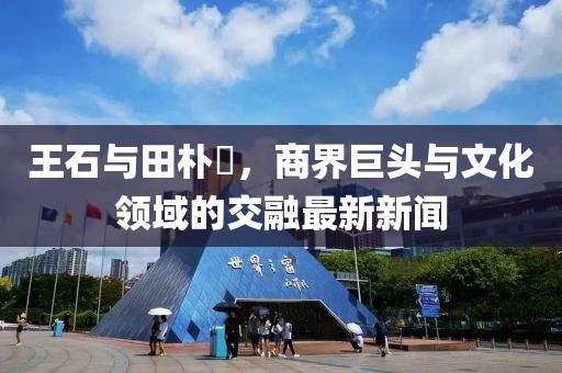 王石與田樸琤，商界巨頭與文化領(lǐng)域的交融最新新聞