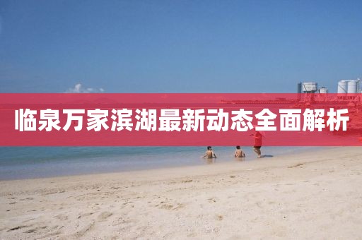 臨泉萬(wàn)家濱湖最新動(dòng)態(tài)全面解析