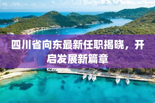 四川省向東最新任職揭曉，開(kāi)啟發(fā)展新篇章
