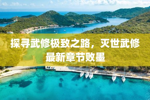 探尋武修極致之路，滅世武修最新章節敗墨