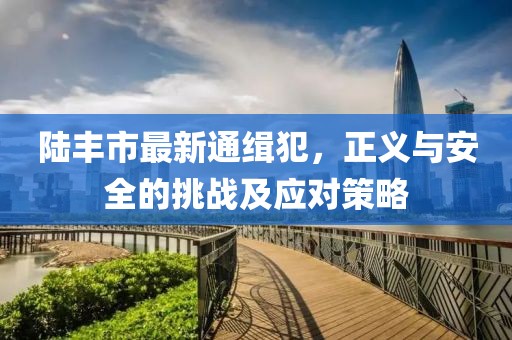 陸豐市最新通緝犯，正義與安全的挑戰及應對策略
