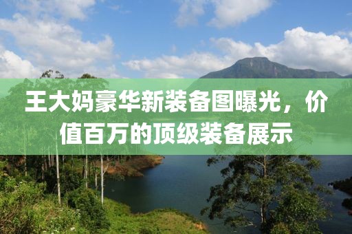 王大媽豪華新裝備圖曝光，價(jià)值百萬(wàn)的頂級裝備展示