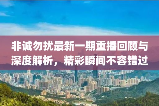 非誠勿擾最新一期重播回顧與深度解析，精彩瞬間不容錯過(guò)