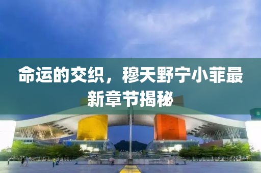 命運的交織，穆天野寧小菲最新章節揭秘
