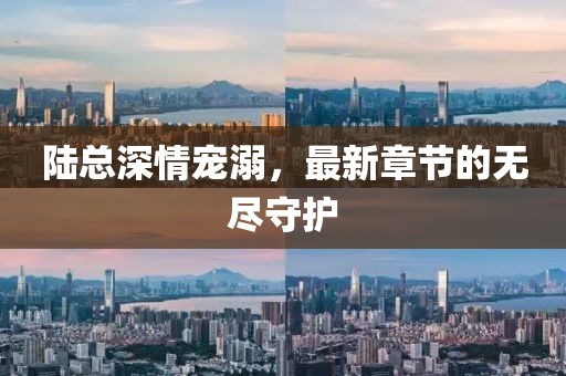 陸總深情寵溺，最新章節的無(wú)盡守護