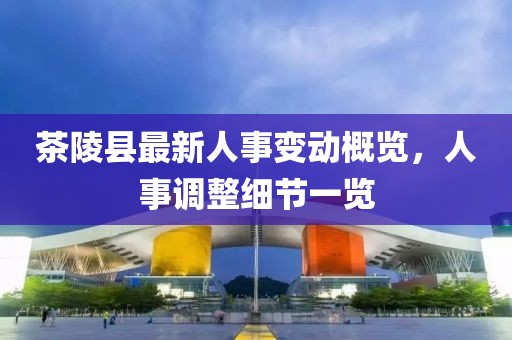 茶陵縣最新人事變動(dòng)概覽，人事調整細節一覽