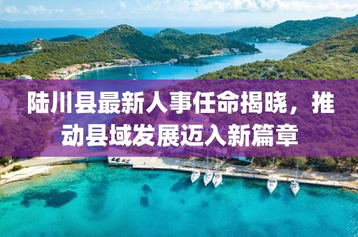 陸川縣最新人事任命揭曉，推動(dòng)縣域發(fā)展邁入新篇章
