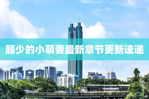 顧少的小萌妻最新章節更新速遞
